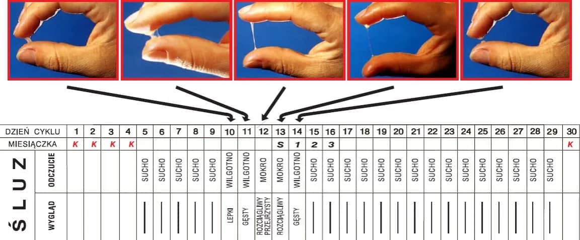 Jak opóźnić owulację: skuteczne metody na zarządzanie cyklem