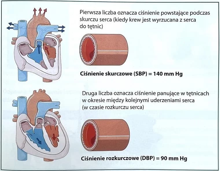 Nadciśnienie tętnicze objawy: jak rozpoznać groźne symptomy?