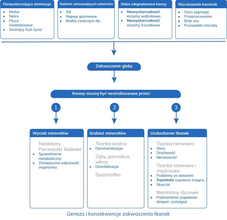 Kwasica metaboliczna objawy: jak je rozpoznać i co oznaczają