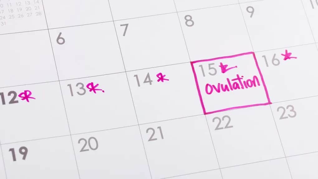 Nietypowe objawy owulacji, które mogą zaskoczyć i niepokoić