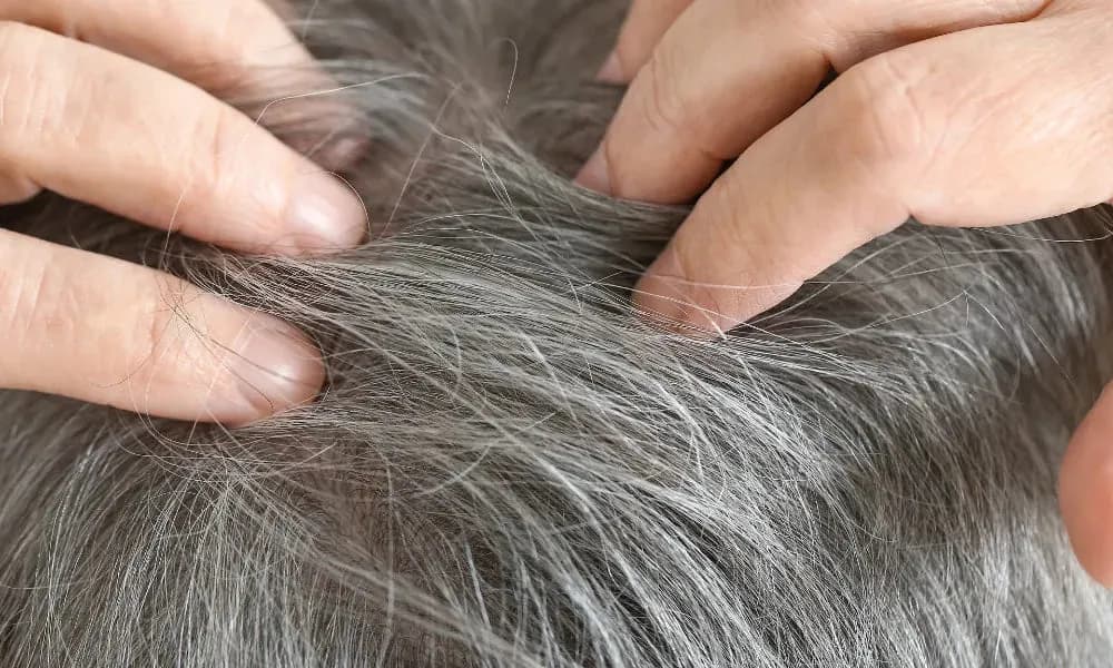Jak zapobiec siwieniu włosów i cieszyć się młodzieńczym wyglądem