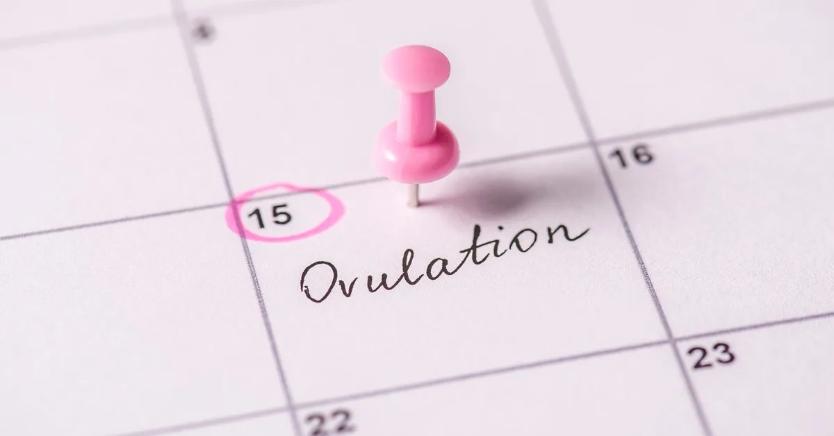 Jak obliczyć owulację kalkulator - proste kroki dla każdej kobiety