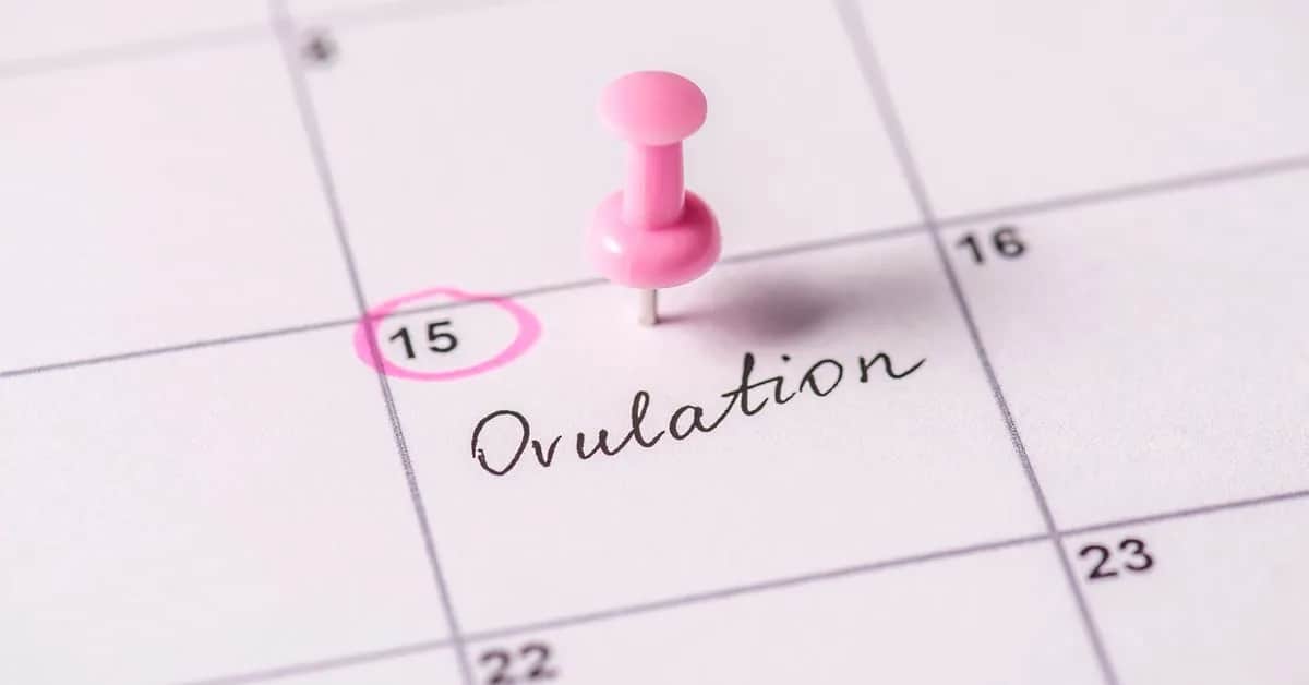 Jak obliczyć owulację kalkulator - proste kroki dla każdej kobiety