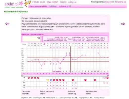 Czy w ciąży jest owulacja? Poznaj prawdę o płodności w ciąży